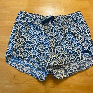 The North Face Blue and White Athletic Shorts